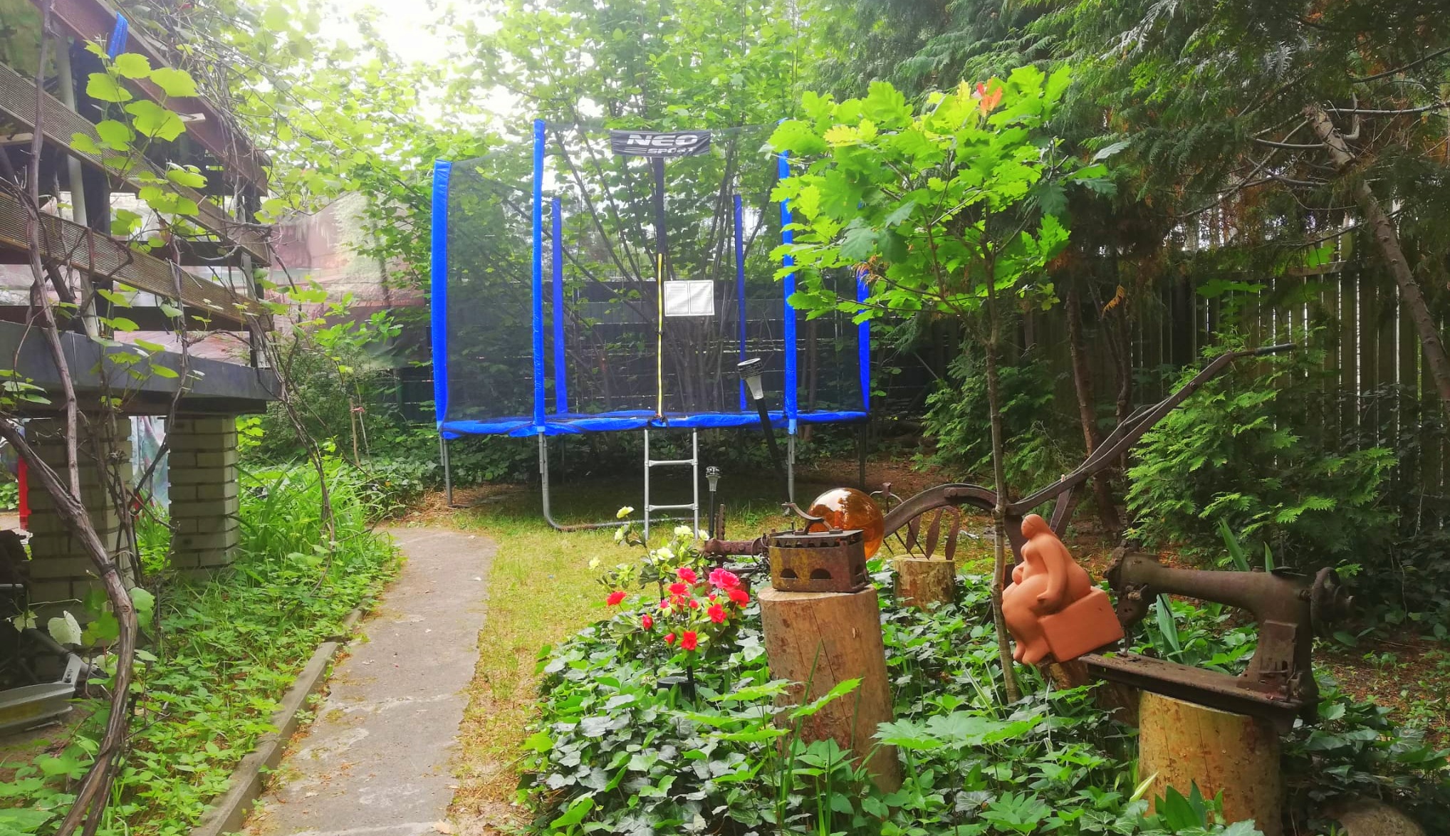 trampolina 2026-06- 19.25.11 (2).jpeg - 